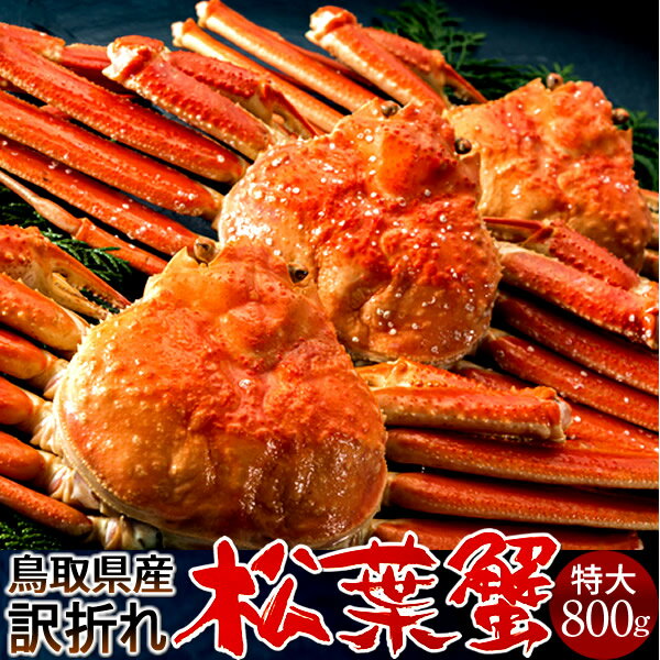 ͤǾե B800g32025 ˲ء­ޤ ܥ뾾ճ 觤ǳ ʪ Ļ踩 ֥ɥޥĥХ ܳ磻ˡΤ ...