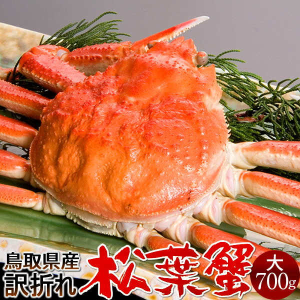 ͤǾե B700g2025 ˲ء­ޤ ܥ뾾ճ 觤ǳ ʪ Ļ踩 ֥ɥޥĥХ ܳ磻ˡΤ դ뤵...