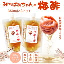 『梅酢 パウチ350ml×2』うめ〜ず【ネコポス送料無料】無