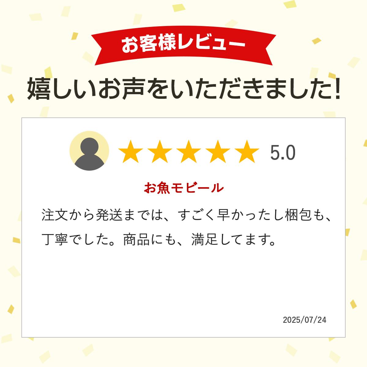 �ե�󥹥ƥå� ��ӡ��� FLENSTED mobiles ���硼�륪�֥ե��å��� �ʥ֥�å��� 030 Shoal of Fish �� ����ƥꥢ ŷ�� ���� �ߤ겼�� �̲� ���� ������� ���襤�� ��� �֤���� �л��ˤ� �ǥ�ޡ��� �ץ쥼��� ���ե��б� ������̵��(�����ϰ�����)��