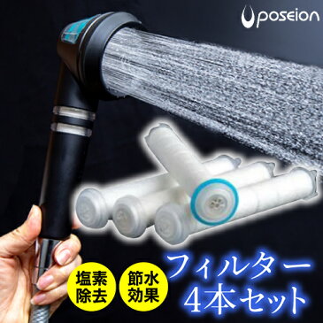 poseionフィルター4本(塩素除去)