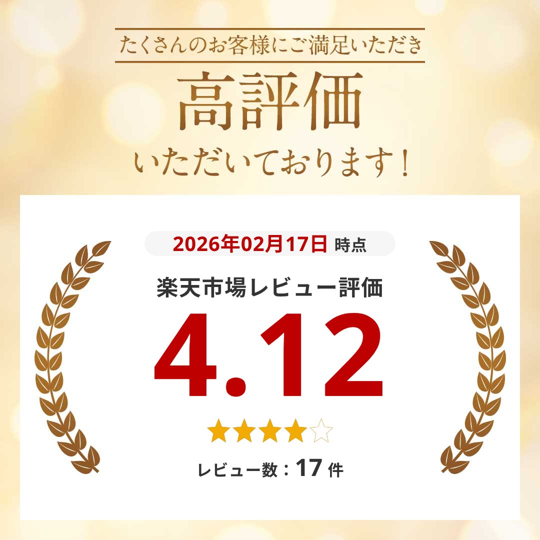 【今だけ最大20％OFFクーポン】 【バッグに入る】 ステンレスボトル 水筒 ステンレ...