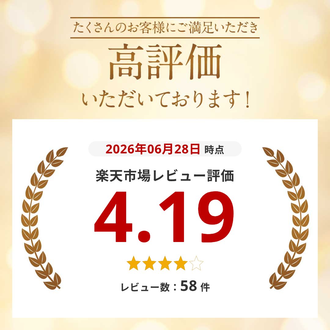 【今だけ最大20％OFFクーポン】 【 背もたれ 付き 】 折りたたみ椅子 軽量 アウト...