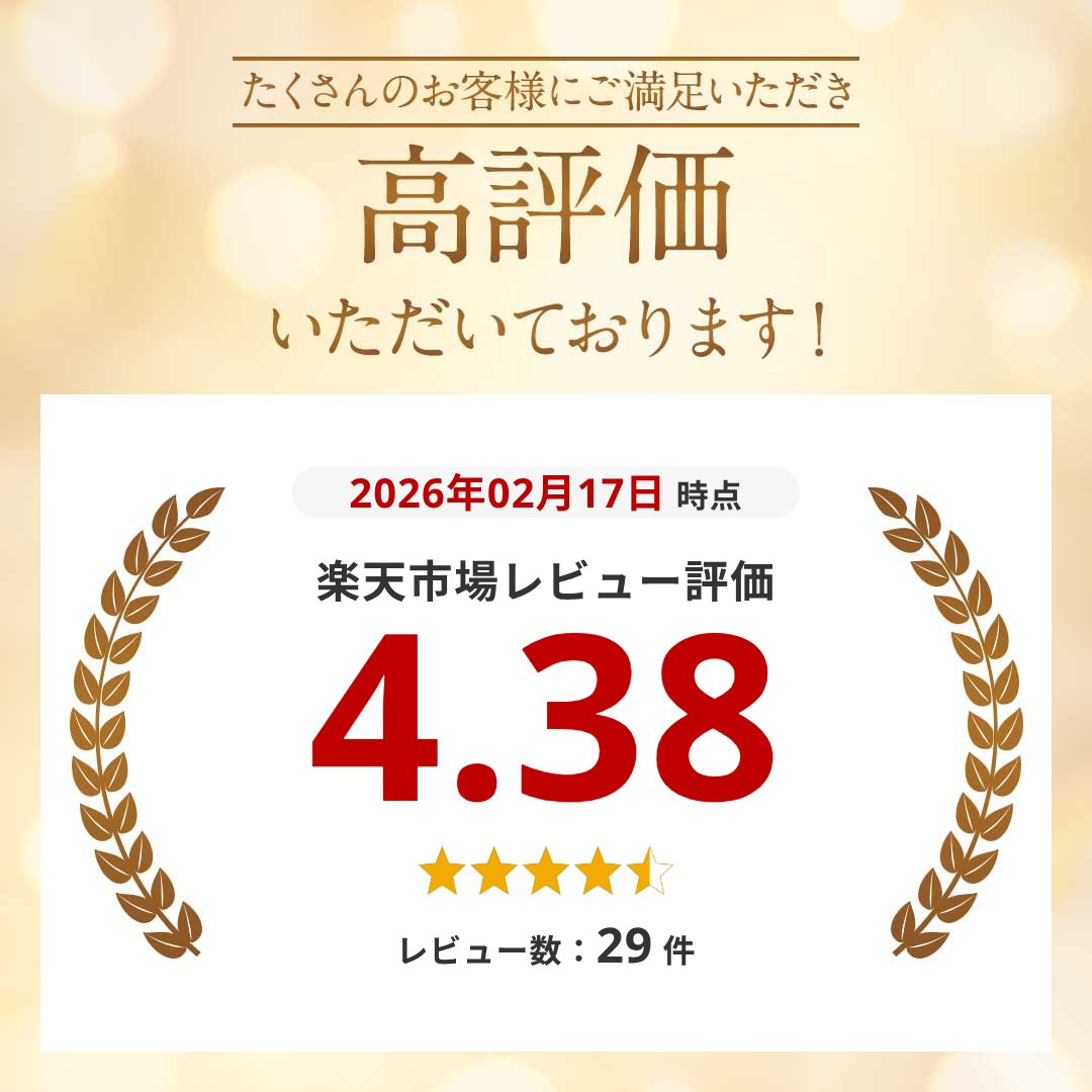 エコリュック エコバッグ 折りたたみ リュック 折畳みバッグ リュックサック 超軽量 大容量 20L 防水 ブラック 折畳み コンパクト バッグ かばん 鞄 旅行 収納 登山 買い物 アウトドア キャンプ 便利 送料無料 shopkurano-10001371 SHOP KURANO サンプル画像2