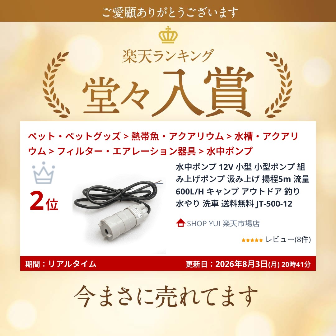 【今だけ最大20％OFFクーポン】 水中ポンプ 12V 小型 小型ポンプ 組み上げポンプ ...