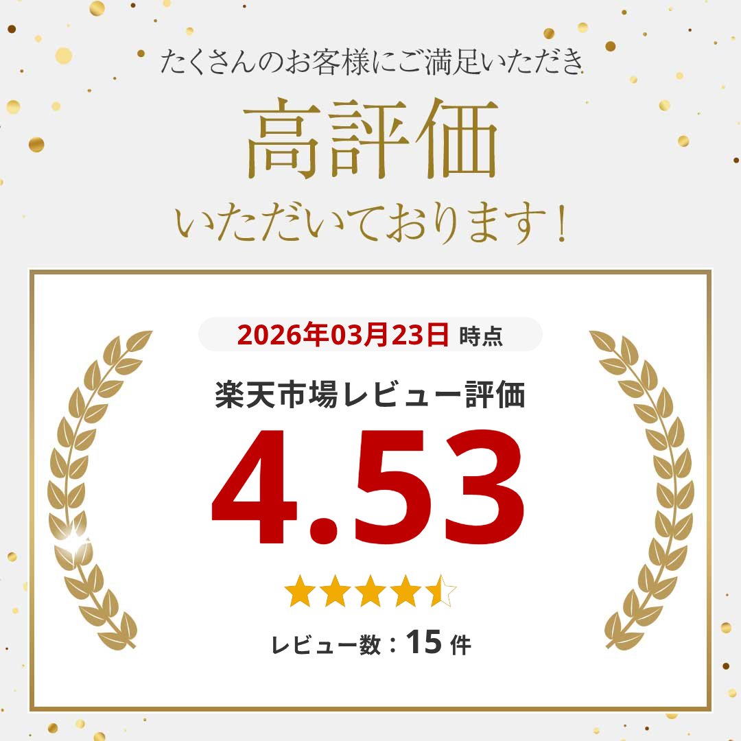 今だけ最大20％OFF 耐火温度1000度 防火 ショルダーバッグ 耐火袋 耐火 袋 モバイルバッテリー 発火 防止 発火防止 shopyui-10004009 SHOP YUI 楽天市場店 サンプル画像2