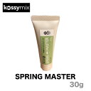 KOSSYMIX RV~bNX SPRING MASTER XvO}X^[ Xm[{[h bNX Xm[T[t Qe XeBbN GENTEM STICK