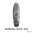 DOWNCHILL SKATE ダウンチル スケート SIVA クルーザーデッキ スケートボード
