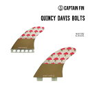 CAPTAIN FIN LvetB QUINCY DAVIS BOLTS NCV[f[rX {c