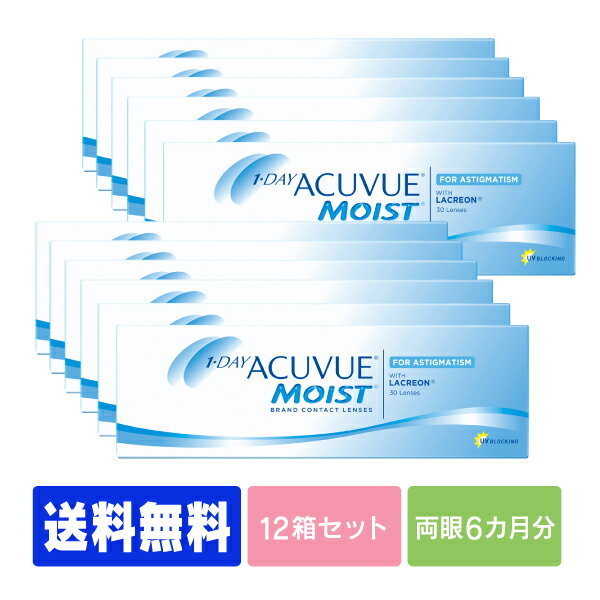 ワンデーアキュビューモイスト 12箱セット 1000円クーポン対象アイテム コンタクトレンズ ケア用品 1000円クーポン対象アイテム 送料無料 1日使い捨て ワンデー 1day 送料無料 ジョンソン 乱視用 コンタクトレンズ コンタクト モイスト Acuvue 30枚