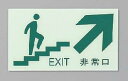 非常口 EXIT 階段斜上130×230 蓄光 看板 サイン プレート 避難誘導 非常口誘導