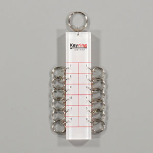 ¿���ӥ����ۥ����12����