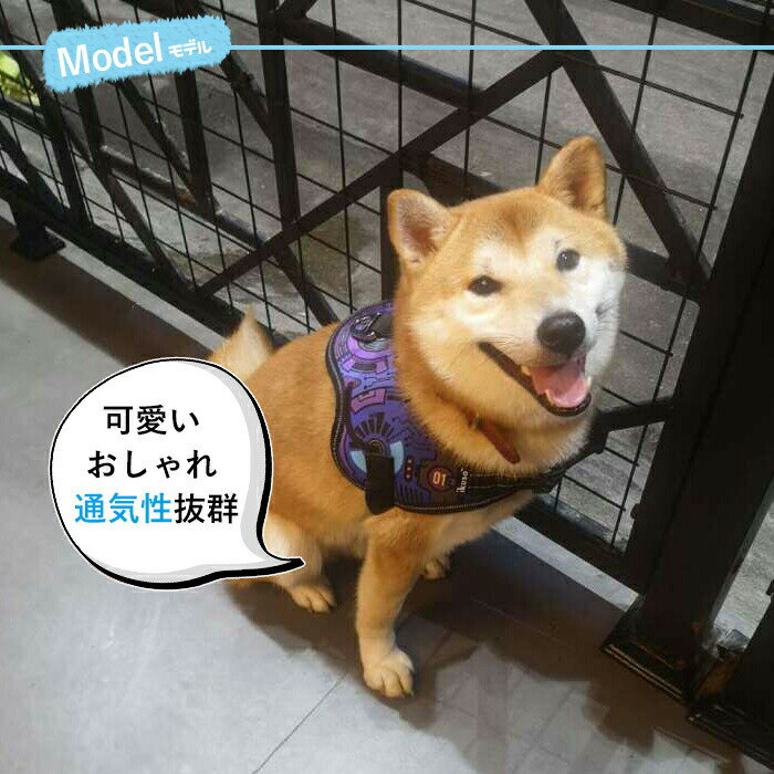 赤字覚悟！お買い得！】犬ハーネス ペットハーネス 犬 ペット ハーネス 犬用ハーネス ペット用ハーネス 犬のハーネス ペットのハーネス 首輪 胴体 ペットハーネス 胴輪 ソフトパッド 中型犬 小型犬 介護 犬具 サイズ調整可 夜間反射安心散歩 丈夫