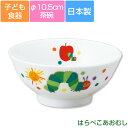 子ども食器【はらぺこあおむし・こども茶碗】小さめ茶碗 カラフルかわいい食器 レンジ＆食洗機対応 ギフト・プレゼントにもおすすめ 出産祝い 誕生祝い【金正陶器】【Silent-サイレント-】