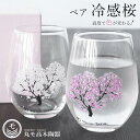 ペアグラス ギフト【冷感 桜 フリーグラス ペアセット】 2個セット ガラス コップ メーカー直仕入れ 正規品 春 桜 花見 JAPAN 日本 ペアセット 贈り物 温度 変化 乾杯 酒器 記念 お祝い【丸モ高木陶器】【Silent-サイレント-】