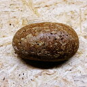 一点物、高品質、店長厳選『美しい虎柄の姫川薬石』握り石に観賞用に 1860g【送料無料】