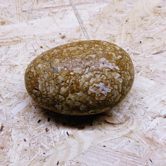 一点物、高品質、店長厳選『美しい虎柄の姫川薬石』握り石に観賞用に 540g...