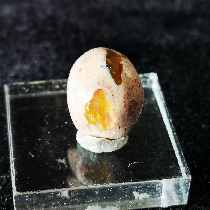 最新入荷!!2ウインドウ カンテラオパール ルース 6.7ct Mexico産 送料無料 