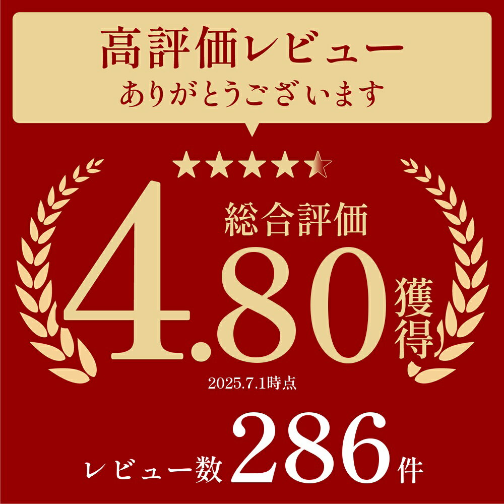 龍馬 ノンアルコールビール 1865 350ml 24缶 2箱のイメージ