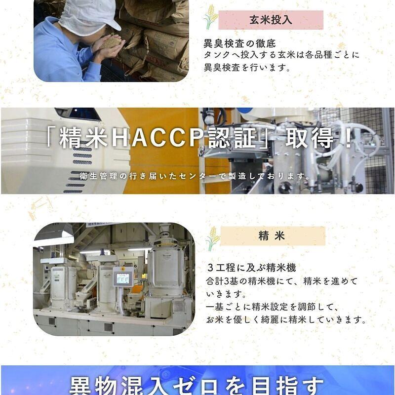 【送料無料】栃木県産とちぎの星 5kg×3袋 合計15kg