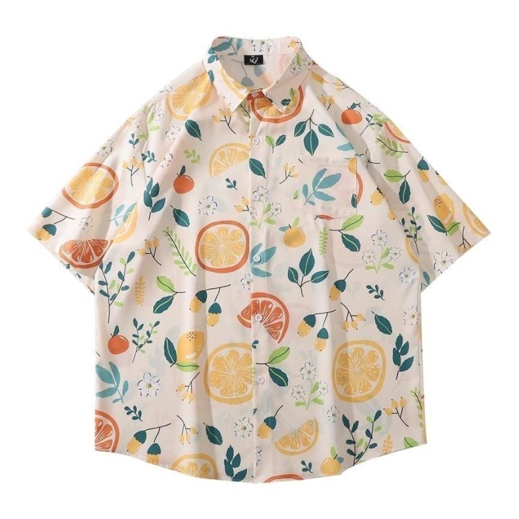 �ȥåץ� ��� ������� �����ϥ���� ���� �İ��� ������ ��ǥ����� �ղ� ����̵�� Ⱦµ ��ʪ ���åץ� ����� ������ �ե롼���� ������ ����� �֥饦�� ���åץ� �����奢�륷��� ���������