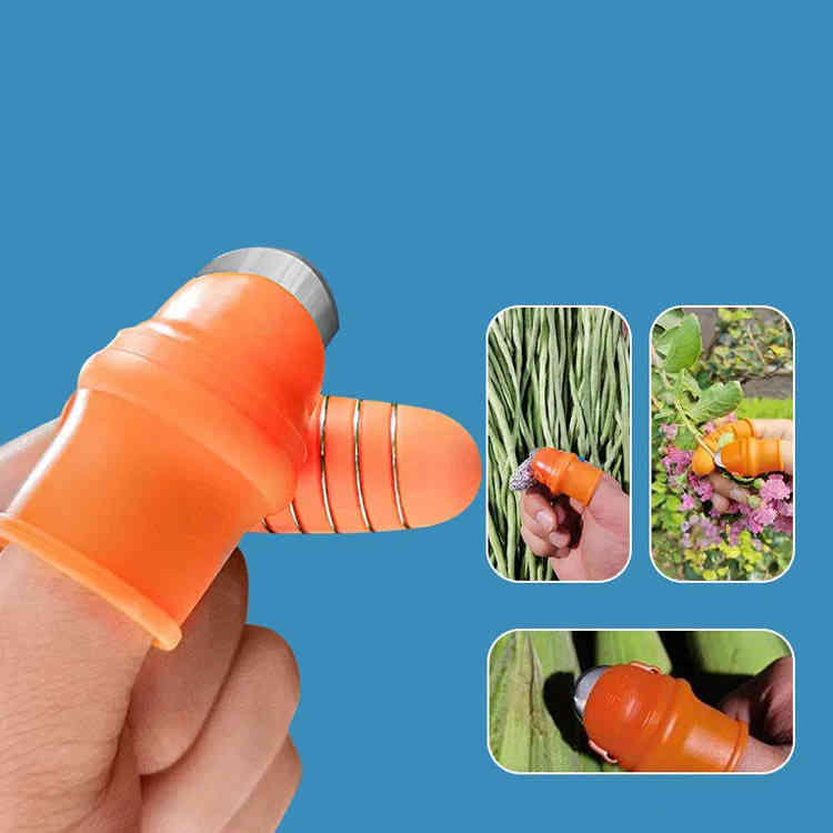 �ƻإ��å��� ��ʪ���ϥ��å��� �����ǥ��� ���ϥ��å��� �ƻإʥ��� ��� ���� �����ǥ�ġ��� ��� ��� ��� �ʥ��� ��ݥġ��� �ƻ� �ݸ� ���ꥳ�� ��ڼ����ѥ��å��� ����ѥʥ��� �����ǥ�ġ��� �����ǥ�ƻ�� 12�祻�å�