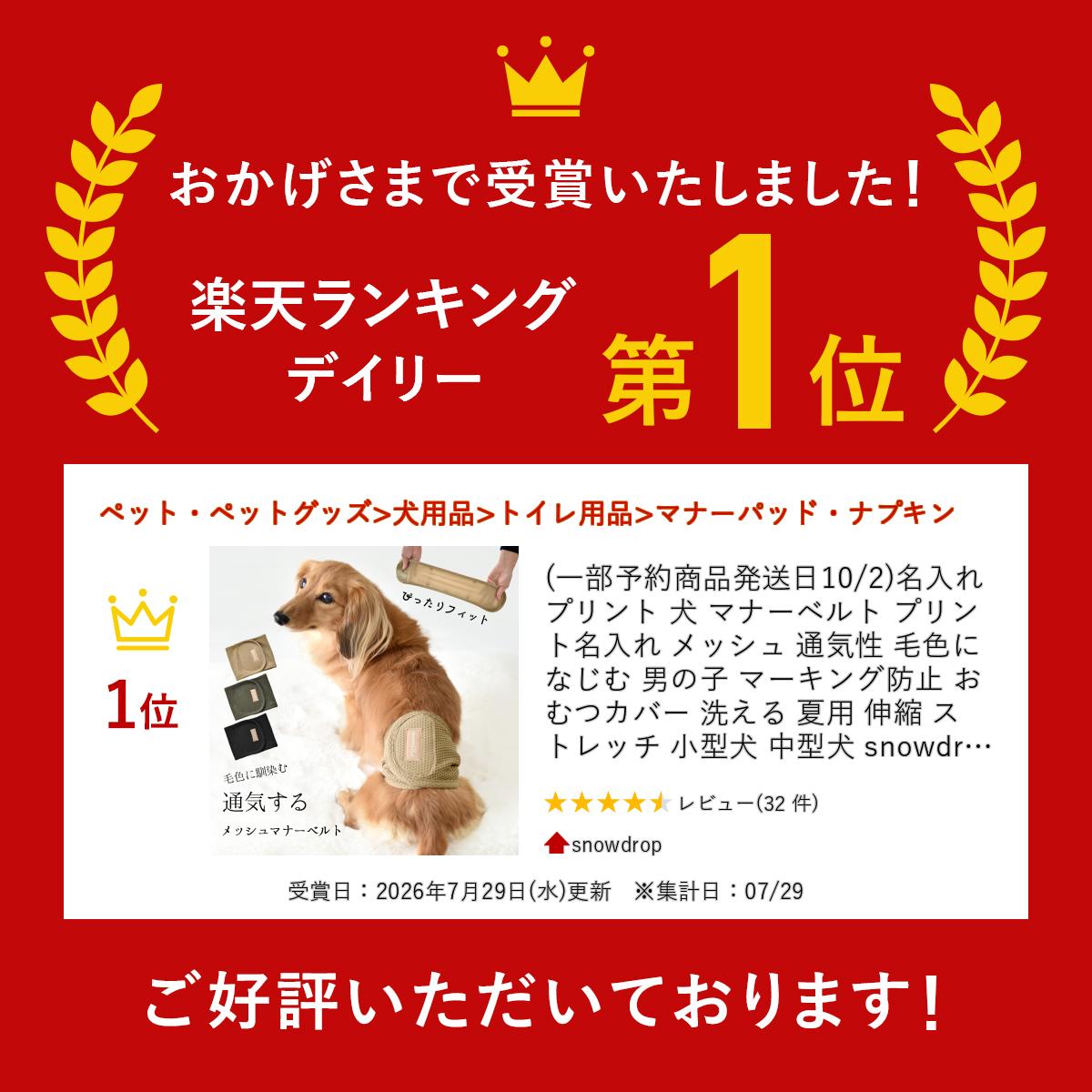 名入れ プリント 犬 マナーベルト プリント名入れ メッシュ 通気性 毛色になじむ 男の子 マーキング防止 おむつカバー 洗える 夏用 伸縮 ストレッチ 小型犬 中型犬 snowdrop 介護 用品 ゆうパケット対応 snowdrop-10005695 snowdrop サンプル画像2