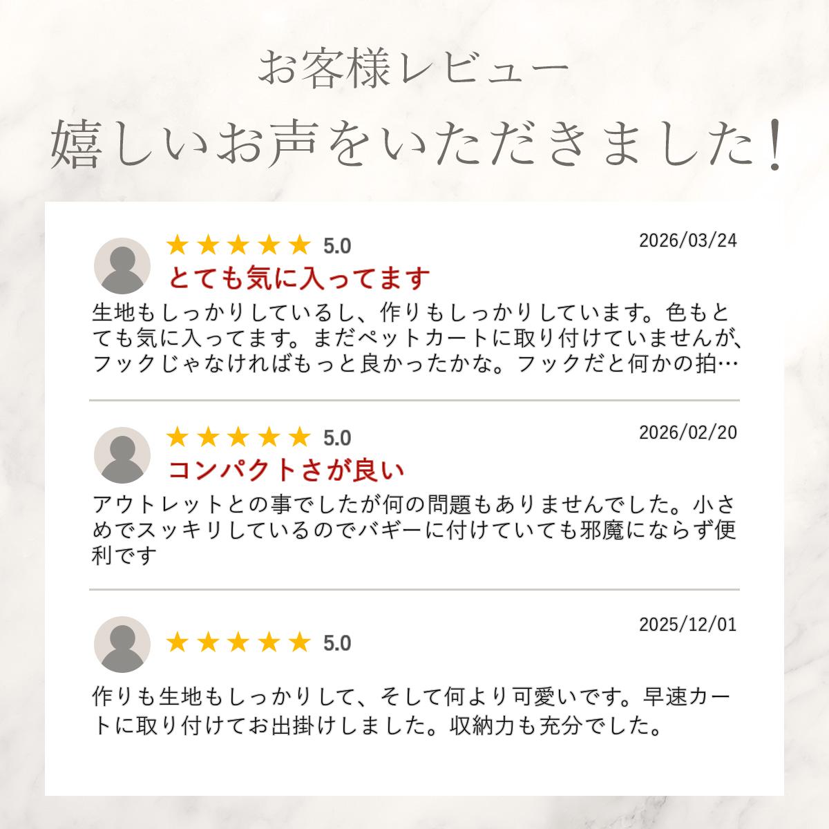 (SALE商品の為返品交換不可)PVCバギーバ...の紹介画像2