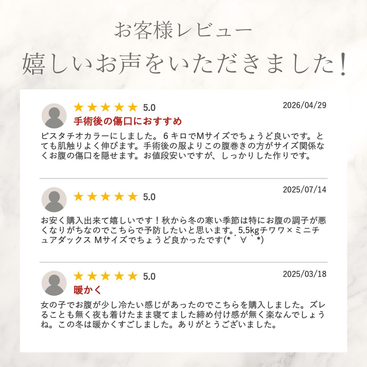 ケーブル編みはらまき　腹巻き プリント名入れ 犬用腹巻き　ペット　ペットグッズ　あたため　着せやすい　犬 ボディーウォーマー 腸活 冷房対策 シニア パピー 犬 服 介護 snowdrop　ゆうパケット対応 snowdrop-10005463 snowdrop サンプル画像3