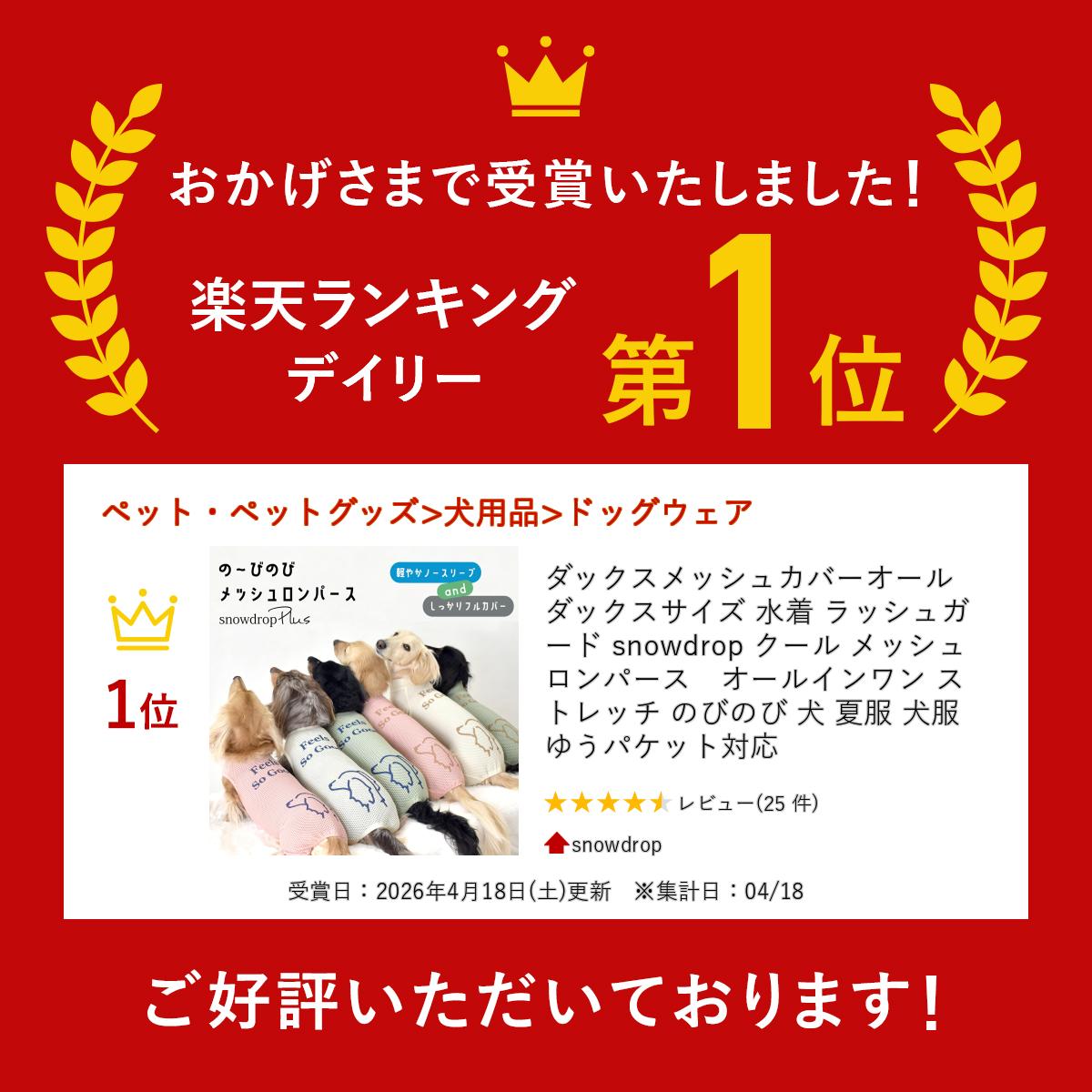 ダックスメッシュカバーオール ダックスサイズ 水着 ラッシュガード snowdrop クー...