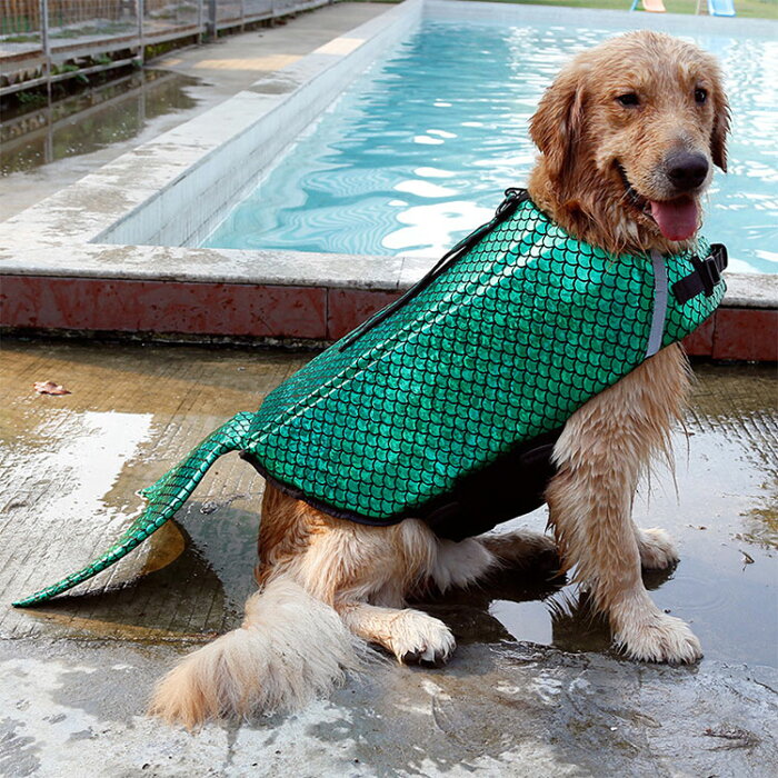 ライフジャケット 小型犬 犬用 水遊び 安全 救命胴衣 安心 プール フローティングベスト アウトドア 犬用ライフジャケット 中型犬 ペット ライフベスト 大型犬 事故防止 ペット用品 ペット用 ペットグッズ ペット用ライフジャケット 犬用品 新品