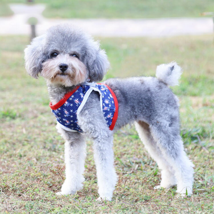 胴輪 ハーネス 犬用 小型犬 ペット ドッグ おしゃれ 中型犬 パピア 散歩 ペット用品 簡単装着 かわいい 大型犬 犬用ハーネス お出かけ 可愛い 犬具 犬用品 お散歩グッズ超小型犬 ソフトハーネス 犬のハーネス 首輪 ベスト 高齢犬 送料無料