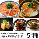 海鮮丼 福袋セット 5種 【 送料無料 】1~2人前 3~4人前 珍味 ヒラメ 銀鮭 サーモン 漬け丼 冷凍 ギフト 個包装 国産 簡単調理 海産物 お取り寄せ...