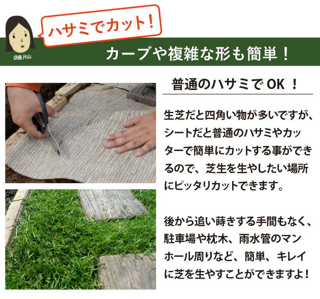 �¤�ŷ���Ǥˤ������ʤ顪Ž������� ���������� 5m��2������ ŷ���� ���μ� 10ʿ��mʬ ���� ���󥿥å����֥롼���饹���ȡ���ե��������ڥ�˥���饤���饹 ���� ���� �Υ��󥿡��ϡ�000199��000199-1��000216_bX3)���Ԥ��ä�Ž����������μǥ�����