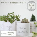 プチギフト 多肉植物のプチギフト 40個 セット(2寸サイズ・約6cmポット) 植物 ラッピング ギフト おしゃれ プレゼント 結婚式 二次会 ウェディング 披...