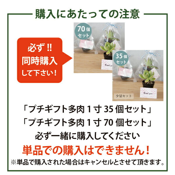 ［単品追加専用］［1年中発送可能！］ミニサイズの多肉植物のプチギフト 1個単品［...