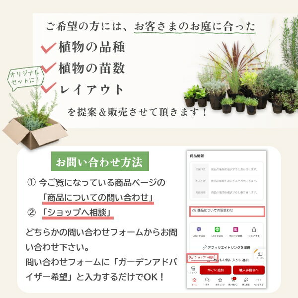 �����ǥ󥢥ɥХ����� ����˥�Τ����Υ쥤��������ƴ�˾�Τ��������ѥڡ��� ��GM��