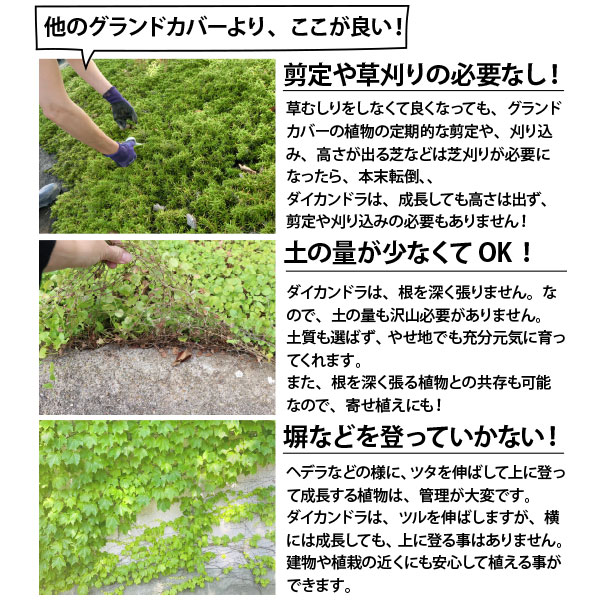 ��������ɥ� �ޥå� ����6ʿ��ʬ�� �� 27cm��57cm 30�祻�å� �����ɥ��С� �ߥ���� ���������� �ǥ�����ɥ� ��������ɥ� ������ľ�� ���� ���� �ޤȤ��㤤 ���� ���� ���� �ѽ��� ���� ¿ǯ��