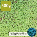 【 飼料用 スーダングラス 】 リッチスーダン / スプリント （早生） 1kg 20kg 牧草 放牧 栽培用 緑化 緑肥 種子 雪印種苗