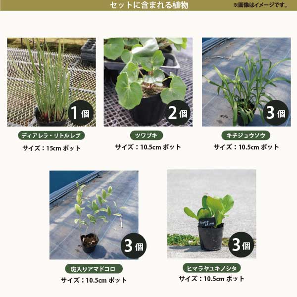 宿根草でつくるシェードガーデン　1坪用細長く 日当たりの悪いスペースに［shade］...