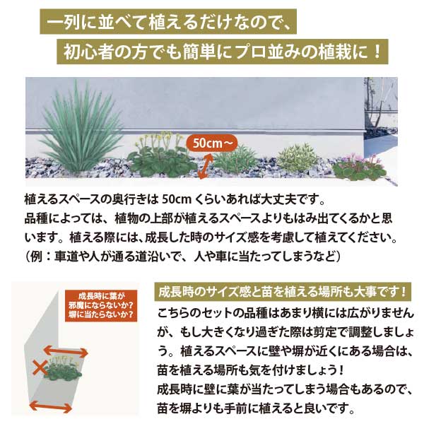 宿根草でつくるシェードガーデン　1坪用細長く 日当たりの悪いスペースに［shade］...