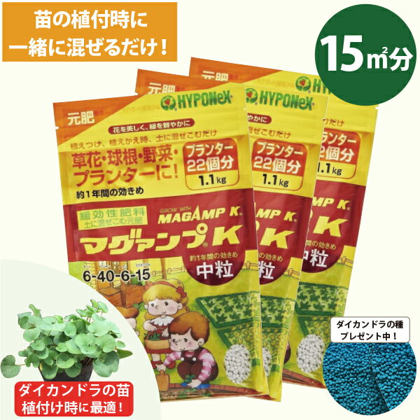 ■メーカー：ハイポネックス ■種類：元肥 ■容量：3.3kg（1.1kg×3袋） ■N-P-K-Mg＝6-40-6-15　マグネシウム配合 ※ダイカンドラの苗を植え付け時の土作りにオススメの肥料です ダイカンドラは雑草が生えていれば、どんな土でも成長します ただ、肥料分を沢山要するので、植え付け時に肥料を土に混ぜるのがオススメ こちらの元肥は、苗の植え付け時に一緒に土に入れることができます。 ダイカンドラ植え付けに必要な使用料は、1袋（1.1kg）で約5平方メートル分になります ※こちらの使用量は、ダイカンドラが生えて欲しい場所全ての土に施肥する場合です ※苗を植え付ける場所のみに肥料を混ぜる場合は、もう少し少なくても良いです 今だけ！ダイカンドラの種（追い蒔き用）50gをもれなくプレゼント中です！