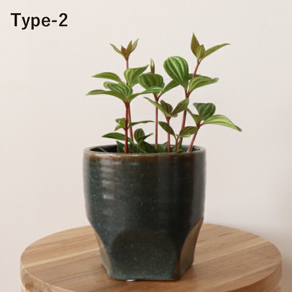 ��������ľ���ϥڥڥ��ߥ����ץƥ��顼���� ���٤�ƫ���ȭ���å� ����ƥꥢ���꡼�� ���եȤˤ� ����̵�������տ�ʪ�����⡡��ޯ��鿴�ԡ���ˡ������桼�⥢ ����Ź�ˤ������ˤ���ina)