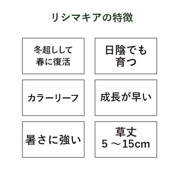 thum3