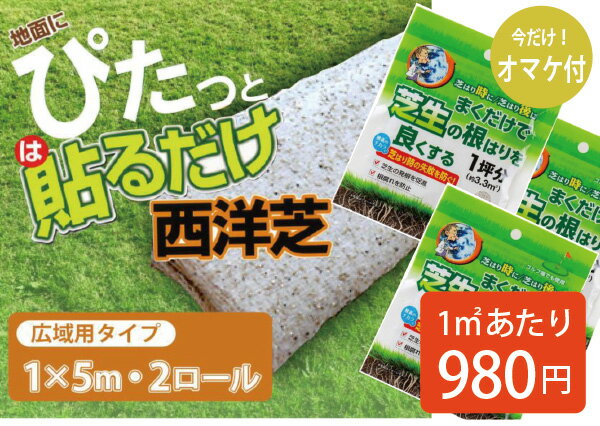 安く天然芝にしたいなら！貼るだけ！ 芝生シート 5m×2ロール 天然芝 西洋芝 10平方m分 1平方mあたり980円！ 芝生 ケ…