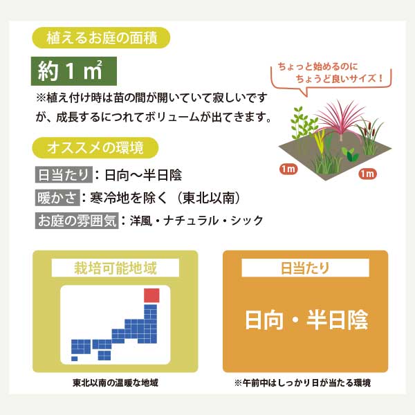 �ɺ���Ǻ�륤�󥰥�å��奬���ǥ� ���ܥ��å� ��1���� 9-15cm�ݥå� �� 5�ʼ� 9�ĥ��å� ������ľ�� �����ɥ��С� ¿ǯ�� �鿴�� ��������å���������ƥʥ󥹡���GM��