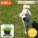大量セット!【約80平方メートル用 400個セット】暑さ、乾燥、踏圧、ペットの糞尿に強い!西洋芝 ティフトン419 芝苗 (5cm角ポット) ドッグラン 暖地型 スポーツ芝 キャンプ場 まとめ買い ティフトン 西洋芝 ペット 犬 天然芝