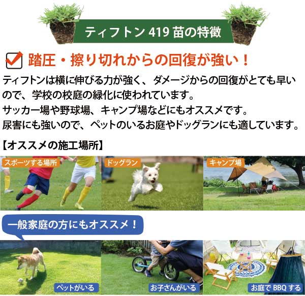 ���̥��åȡ�����80ʿ���᡼�ȥ��� 400�ĥ��åȡ۽뤵�����硢Ƨ�����ڥåȤ�ʵǢ�˶��������μ� �ƥ��եȥ�419 ���� (5cm�ѥݥå�) �ɥå���� ���Ϸ� ���ݡ��ļǡ������׾� �ޤȤ��㤤 �ƥ��եȥ� ���μ� �ڥå� ����ŷ����