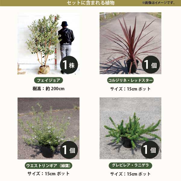 ����ܥ�ĥ꡼�Ƚɺ���Υ��å� �Υ��������ץ��ġϿ��ڡ��������ФΥ��å� ��ʬ�ǿ����褦���������ƥʥ� ���������������������ƥꥢ��GM�ϡ�t��