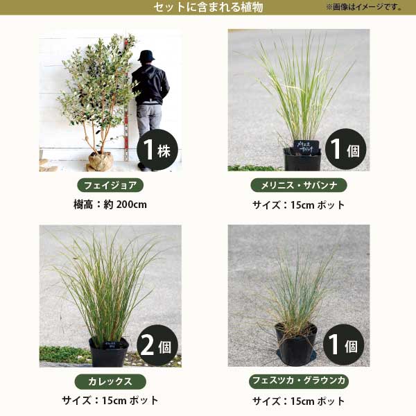 ����ܥ�ĥ꡼�Ƚɺ���Υ��å� �Υ����ʥ�󥿥륰�饹�Ͽ��ڡ��������ФΥ��å� ��ʬ�ǿ����褦���������ƥʥ� ���������������������ƥꥢ��GM�ϡ�t��